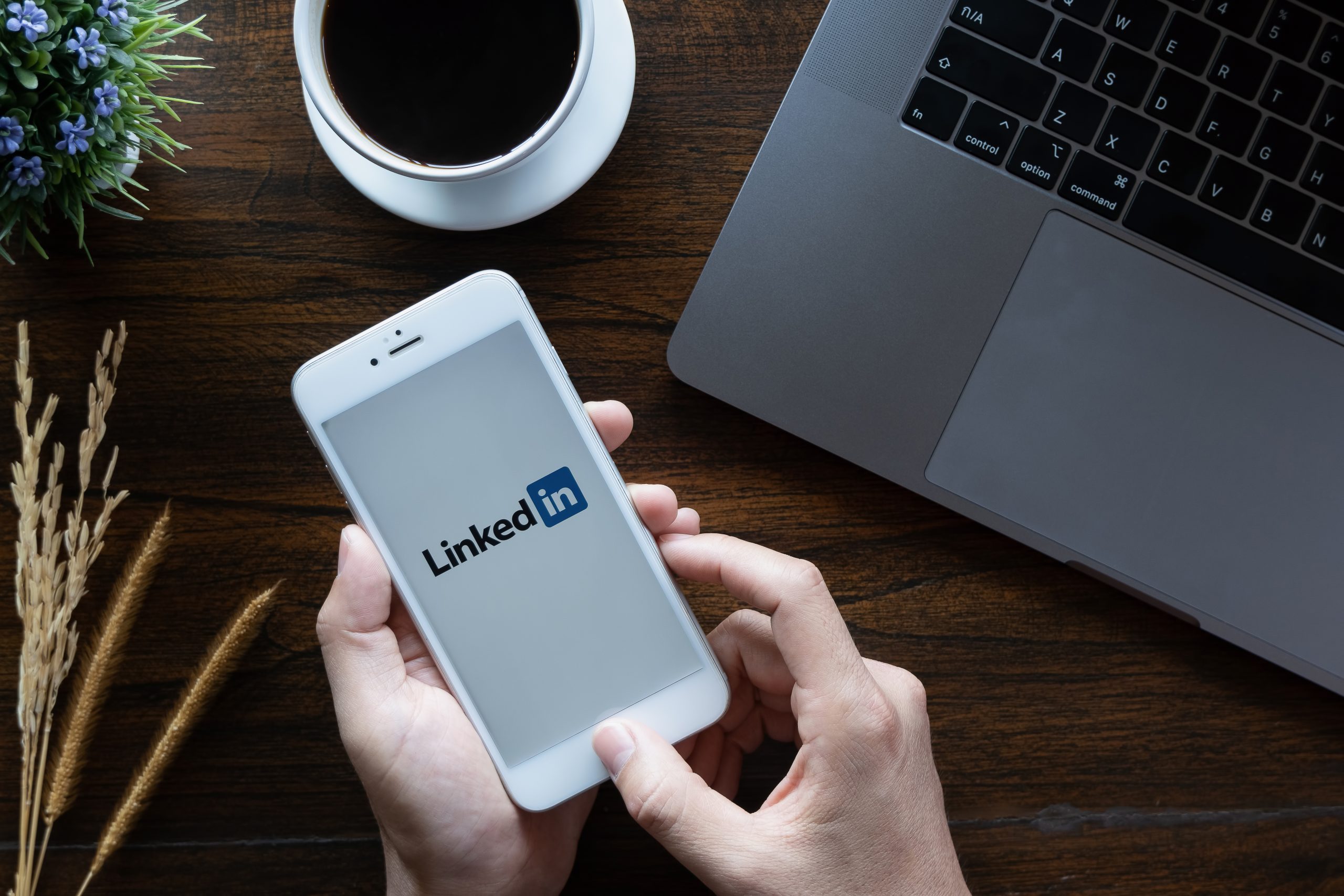 LinkedIn for networking and business development in accounting.